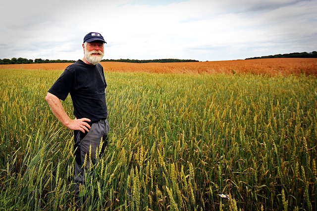 Crop Insurance Farmer In India